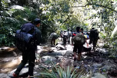 Bach Ma Park to host saola breeding centre