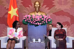 Judicial ties important to Vietnam-Mozambique relations: NA leader