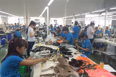 Leather, footwear exports could reach 26 billion USD by 2020