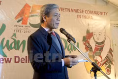 Vietnam, India mark diplomatic ties in New Delhi