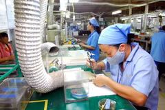 HCM City, Japan boost cooperation in administrative reform