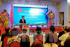 Vietnam-China 67-year ties marked in HCM City ceremony 