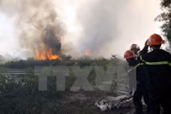 Thanh Hoa prevents forest fires during hot weather