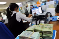 HCM City looks to improve tax collection