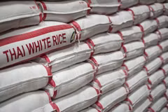 Thai Government helps farmers stabilise rice prices 
