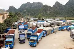 Conference boosts VN-China investment, trade ties