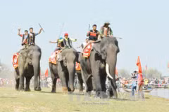 Elephant, boat races held in Buon Ma Thuot coffee festival
