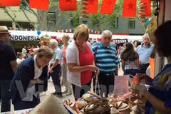 Ho Chi Minh City to host ASEAN village 
