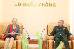 Vietnam, Netherlands boost peacekeeping cooperation 