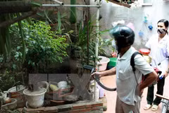 Hanoi sees six dengue fever fatalities 