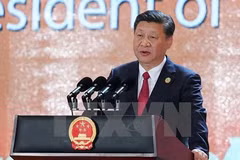 APEC 2017: Xi stresses cooperation for Asia-Pacific bright future