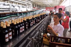 Carlsberg, Habeco deal set for November