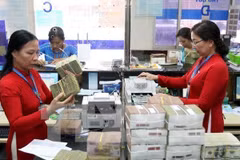 Reference exchange rate goes up by 8 VND