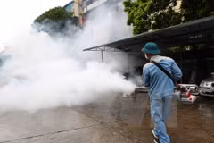More than 95 percent of Hanoi’s dengue hotbeds under control