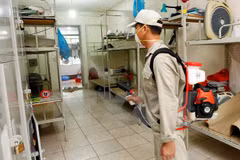 Dengue fever cases nationwide fall