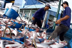 Fishery output hits 1.6 million tones in H1