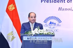 Vietnamese, Egyptian firms explore cooperation opportunities