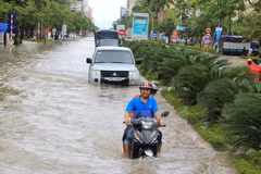 Heavy rains slam central region