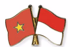 Seminar spotlights Vietnam-Indonesia partnership