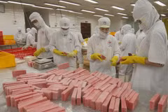 Outcomes of Vietnam Private Sector Forum announced