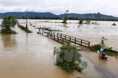 Flood-hit Ha Tinh, Son La provinces receive rice support
