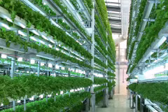 RoK firm seeks investment opportunities in Hau Giang 