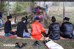 The Xen Dong Festival begins with a forest worship ceremony, held beneath the canopy of a centuries-old banyan tree (Photo: VietnamPlus)