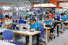 The garment and textile sector has made great contribuitions to the economy (Photo: VNA)
