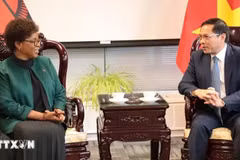 Deputy Prime Minister and Foreign Minister Bui Thanh Son (R) and Malawi’s Foreign Minister Nancy Tempo before the signing ceremony of a joint statement on establishment of diplomatic relations between Vietnam and Malawi (Photo: VNA)