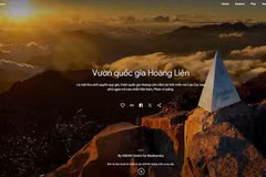 Google Arts & Culture has officially launched an exclusive site for Vietnam called "Vibrant Vietnam" which offer 31 online exhibitions with over 400 images and dozens of videos on the cultures of ethnic groups in Vietnam. (Photo: screenshot)