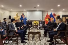At the meeting between a visting delegation from the Vietnam Fatherland Front Central Committee, headed by Vice Chairman Hoang Cong Thuy, and representatives of the Vietnamese Embassy in Australia on June 14. (Photo: VNA)