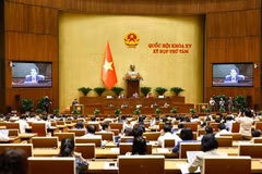 At the meeting (Photo: VNA)