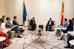 At the meeting between Deputy Prime Minister and Minister of Foreign Affairs Bui Thanh Son (R) and Vice-President of the European Commission Margaritis Schinas in Ho Chi Minh City on October 21. (Photo: VNA)