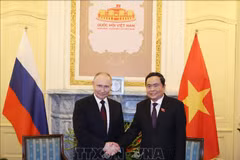Chairman of the National Assembly Tran Thanh Man (R) met with visiting Russian President Vladimir Putin in Hanoi on June 20. (Photo: VNA)