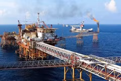Workshop discusses draft amendments to Petroleum Law