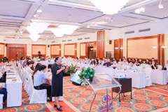 Mixed excise regime for tobacco recommended at conference