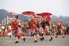 Street carnival attracts audiences in Hoa Binh province