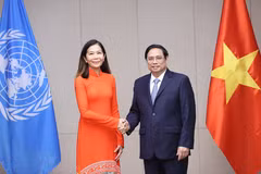UN Resident Coordinator: contribute towards an increasingly resilient Vietnam