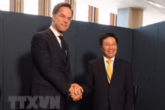 Vietnam boosts cooperation with Netherlands, African countries