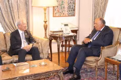 Egypt wishes to develop relations with Singapore