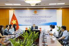 Vietnam ready to beef up economic ties with Peru: Deputy Minister