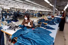 E-commerce: key to increase Vietnam – UK trade
