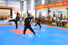 Hung Yen hosts largest-ever traditional martial arts championship