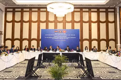 Vietnam, Laos, Cambodia NAs work hard to boost cooperation 