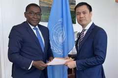UN promises support for Vietnam’s energy transition scheme 