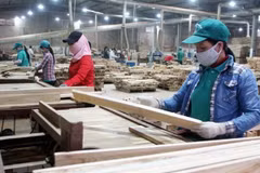 US enquires into wooden cabinets from Vietnam