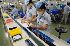 Vietnam forecast to be among fastest-growing countries in next decade: Harvard growth lab 