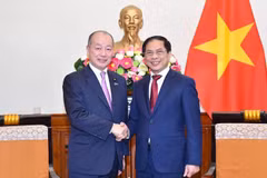 Foreign Minister delighted at growing ties with Japan 