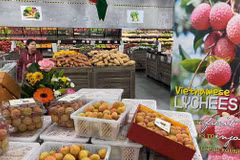 Vietnam - Australia trade goes up 37% in eight months