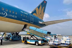 Strategy needed for air freight to take off